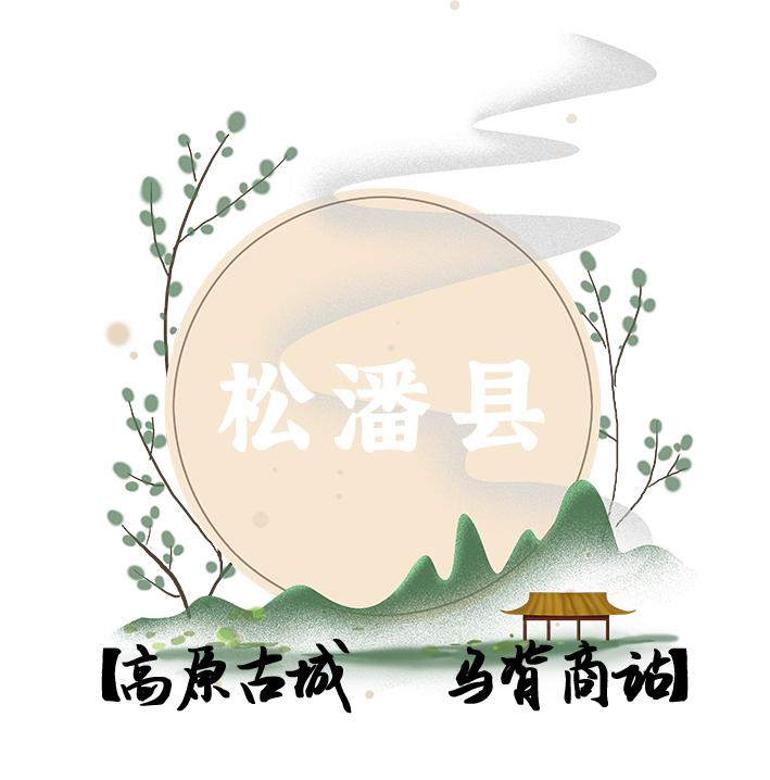阿坝州十三个县哪个县最大,阿坝州十三个县城全景
