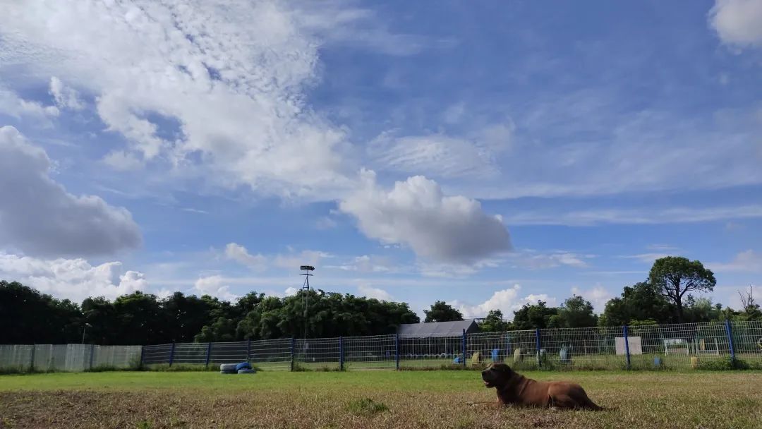 喜欢你混饭吃丨酷贝E族