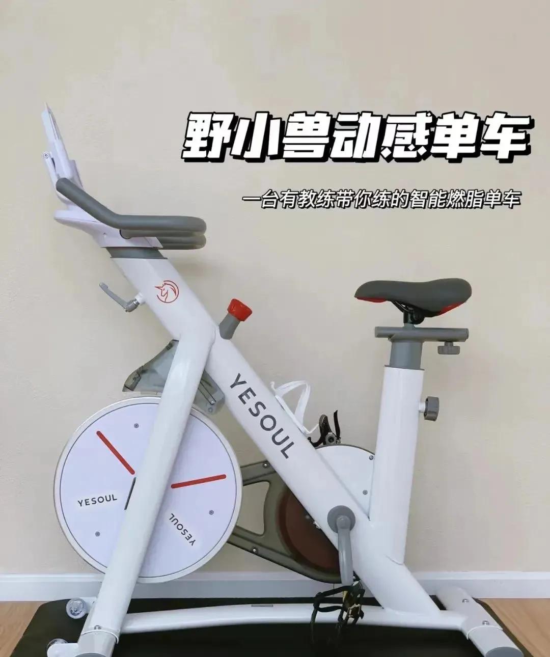 室内健身跑步机哪个牌子好,国内健身跑步机