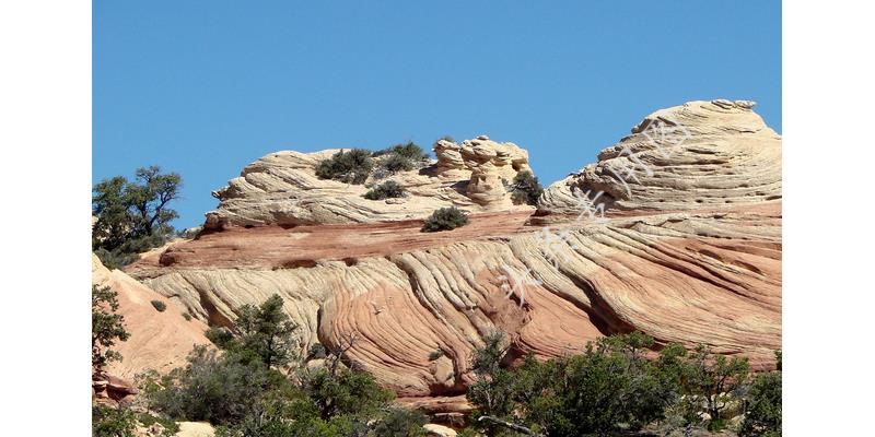 54岁的男人因为嫖娼，丢了性命，我们要珍惜生命，远离嫖娼