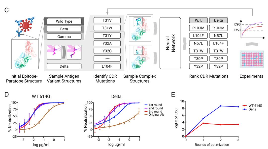 alphafold2,alphafold2.0技术细节