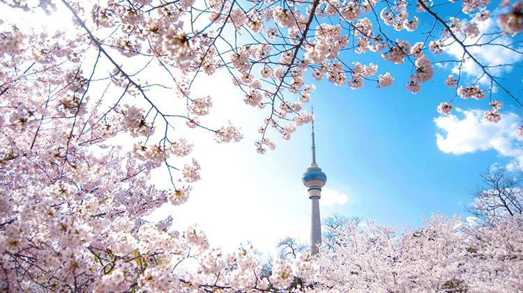 春敏的正确护肤方法是什么,春敏一定要补水吗