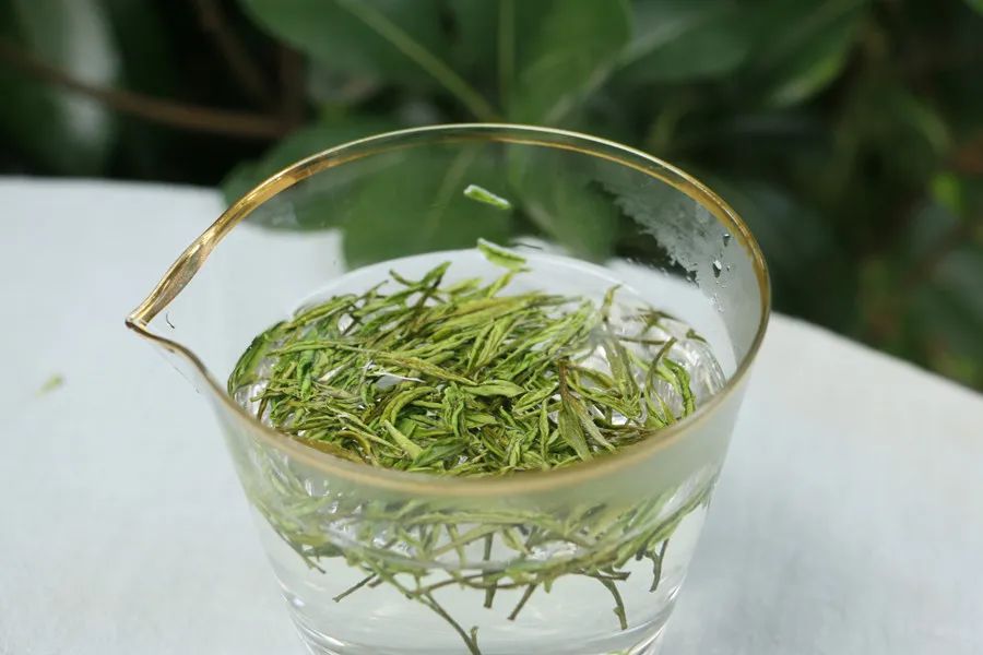 史上最全的茶叶养生知识是什么呢,茶叶真的有养生效果吗