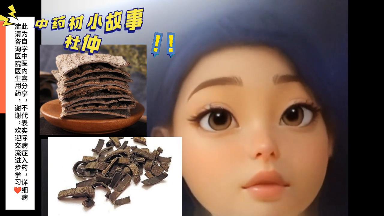 中药材杜仲金樱子,中药杜仲的故事