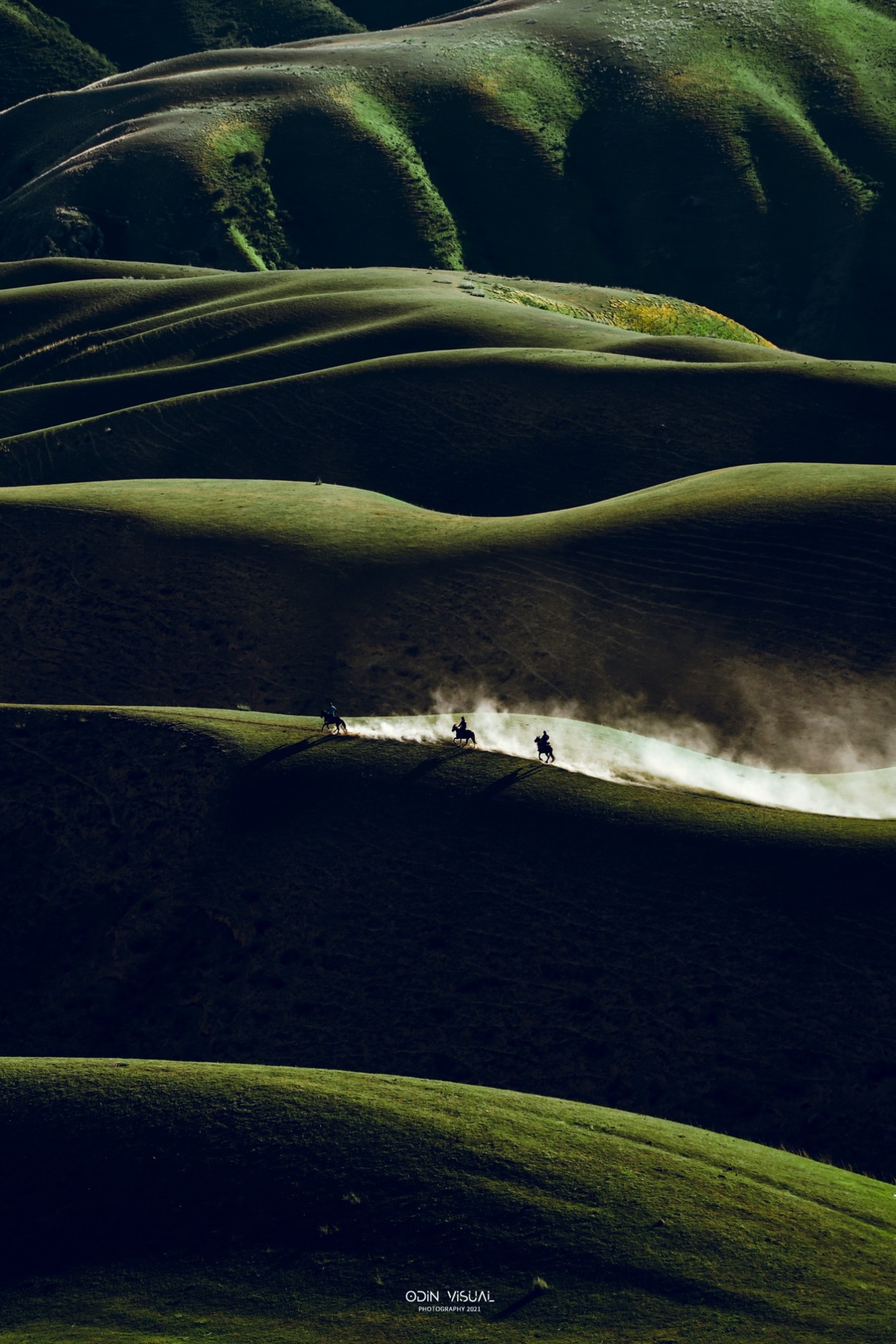 新疆伊犁之美,走了一圈才发现世界万物远不及你