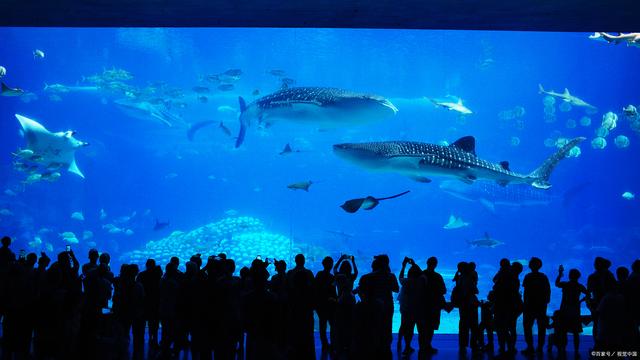 大连五日游攻略大全,大连三日游详细攻略图