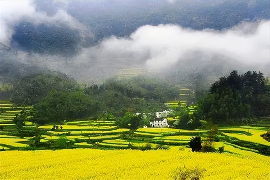 关于节气的诗并进行赏析,谷雨节气古诗词欣赏