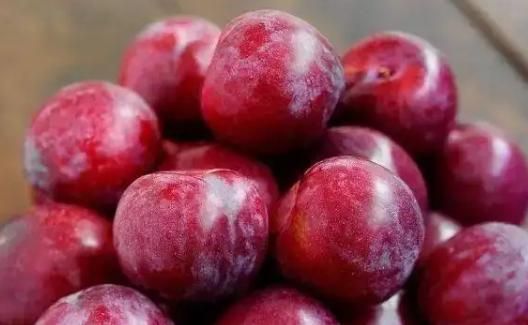 李子不能多吃是真的吗,李子不能多吃是吗