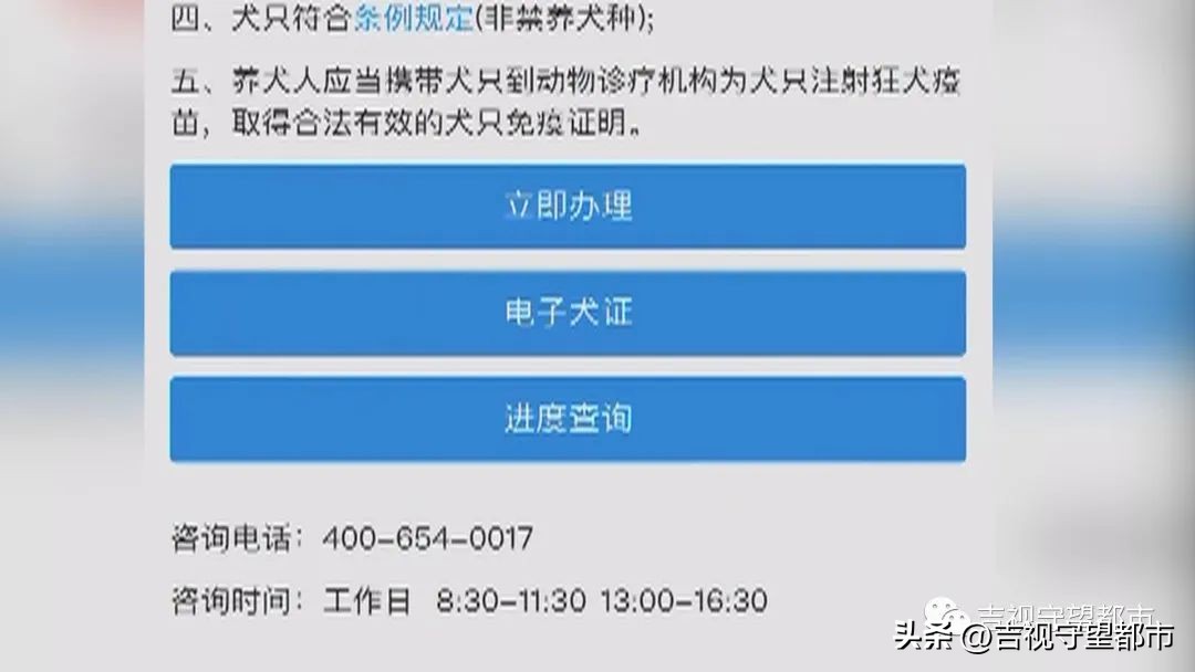 你家狗证办下来了吗,你家的狗有办证吗