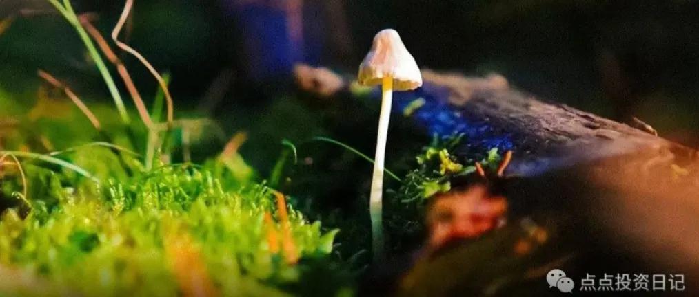 了解资产管理公司,商业银行保险公司证券公司哪个好