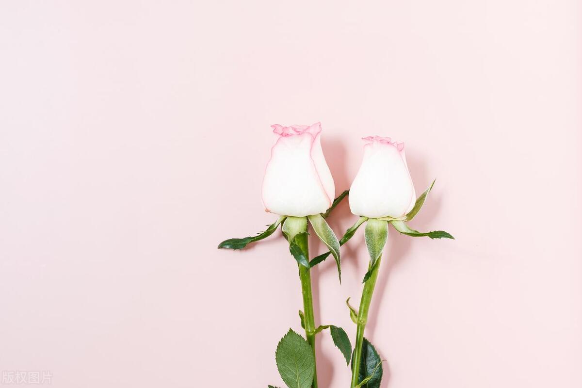 让回避型依恋感到焦虑,让回避型依恋重新信任