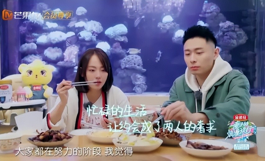 张嘉倪空壳太太,空壳太太