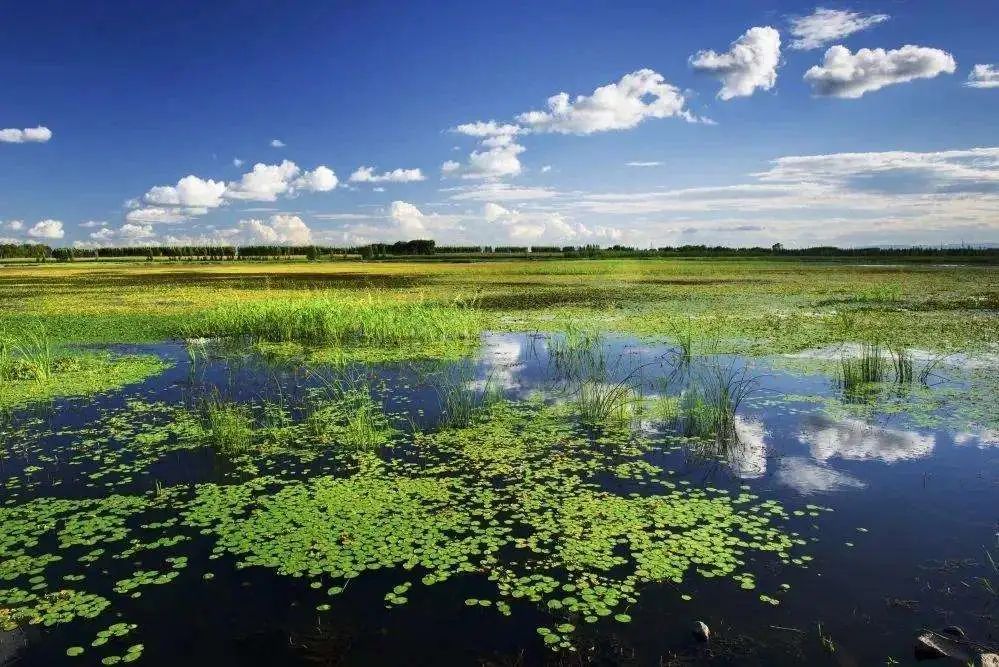 无锡奥密克戎变异毒株,无锡市检出奥密克戎病例