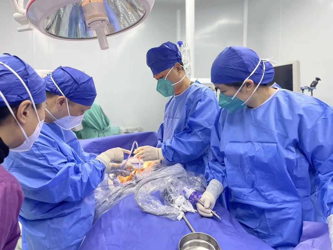 胆囊结石为什么夜间痛,胆囊结石疼痛为何多数在夜间发作