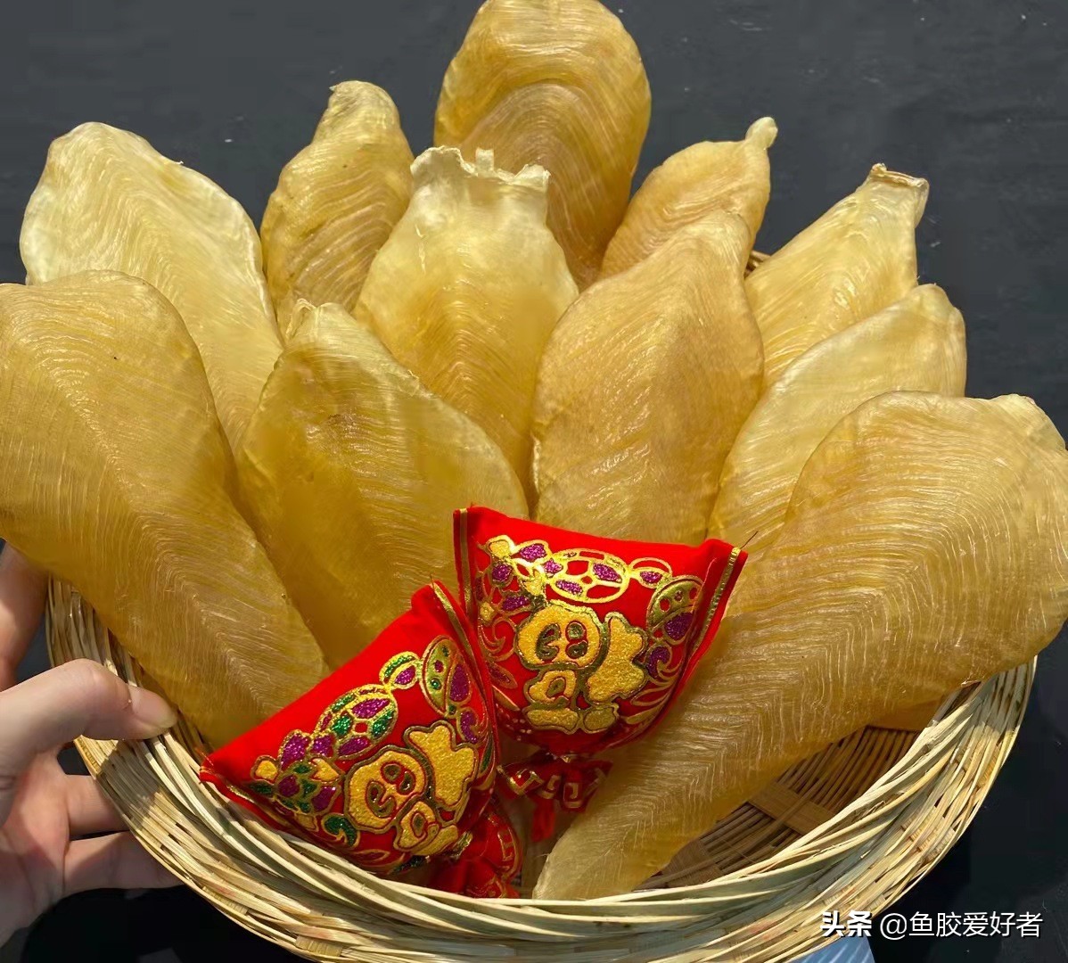 购买鱼胶之前这些常识你必须看看,鱼胶正确的选择方法是什么