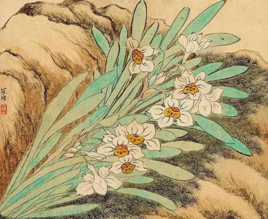 古诗词中的水仙花：飘零尘俗客再见水仙花