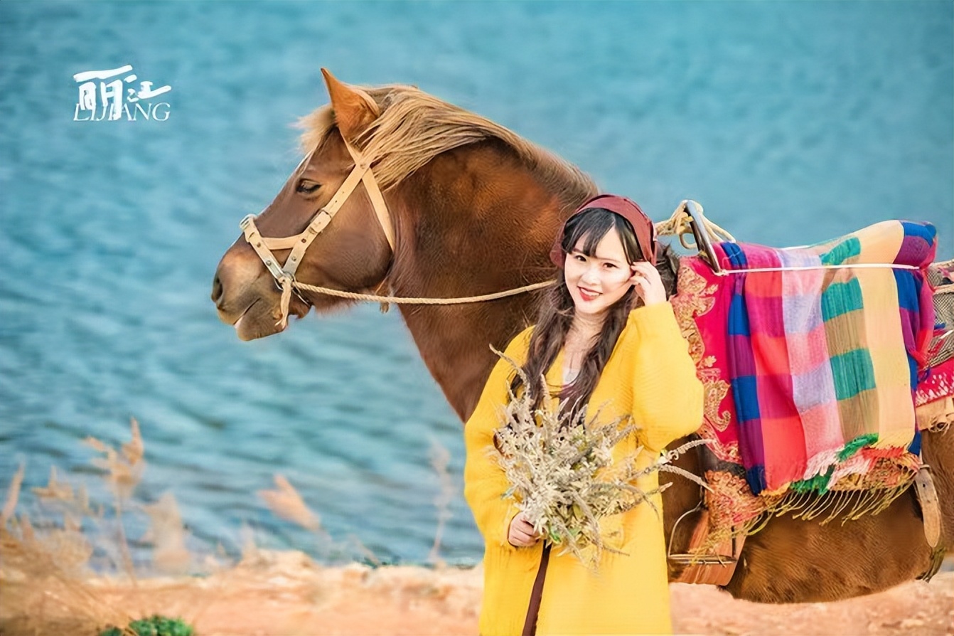 去云南旅游攻略及费用要多少元,去云南旅游攻略及费用大概多少元