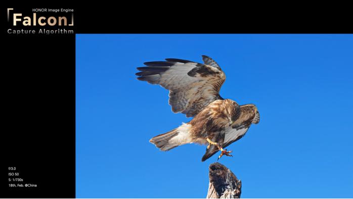 荣耀magic5系列海外正式发布,荣耀Magic5系列全球发布