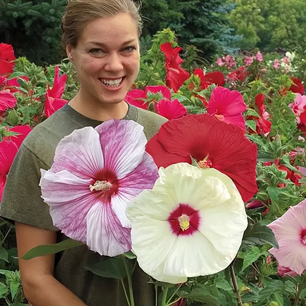 好看又好养的大花卉盆栽,开花好养的大花卉