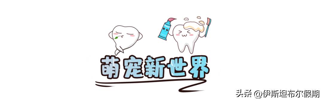 儿童刷牙半圆牙刷视频,可爱的宝宝牙刷让宝宝爱上刷牙