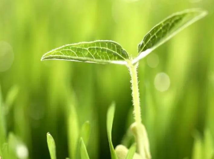 韩*歌国**手李尚恩女厕离奇身亡，死因惹人猜测