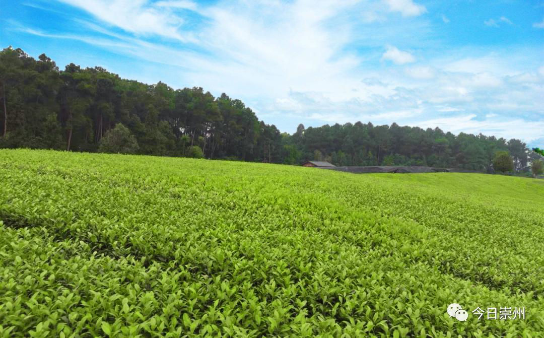 高校毕业生就业创业政策解读,山西大学生创业扶持政策怎么申请