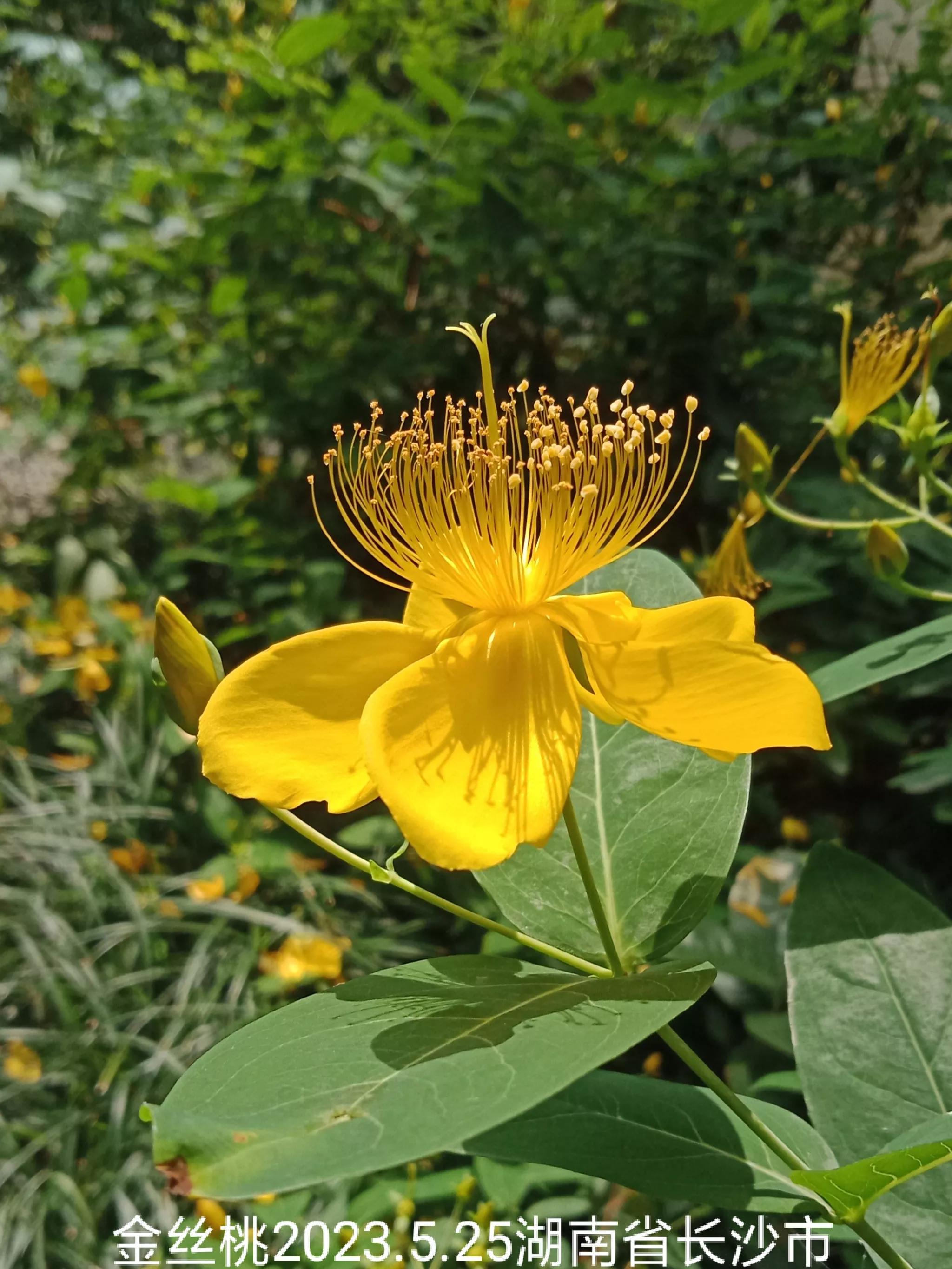 微信群没有保存下来怎么找回来,怎么找回没保存的微信群