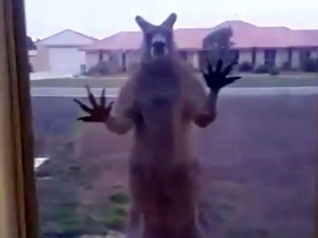 租房找一楼是不是不太好,租房到最高层的弊端