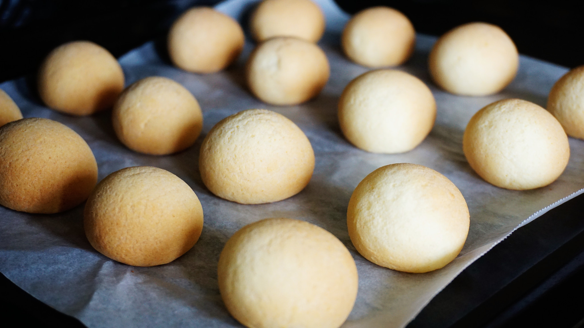 大白鲸烤箱f40,长帝f40大白鲸风炉平炉