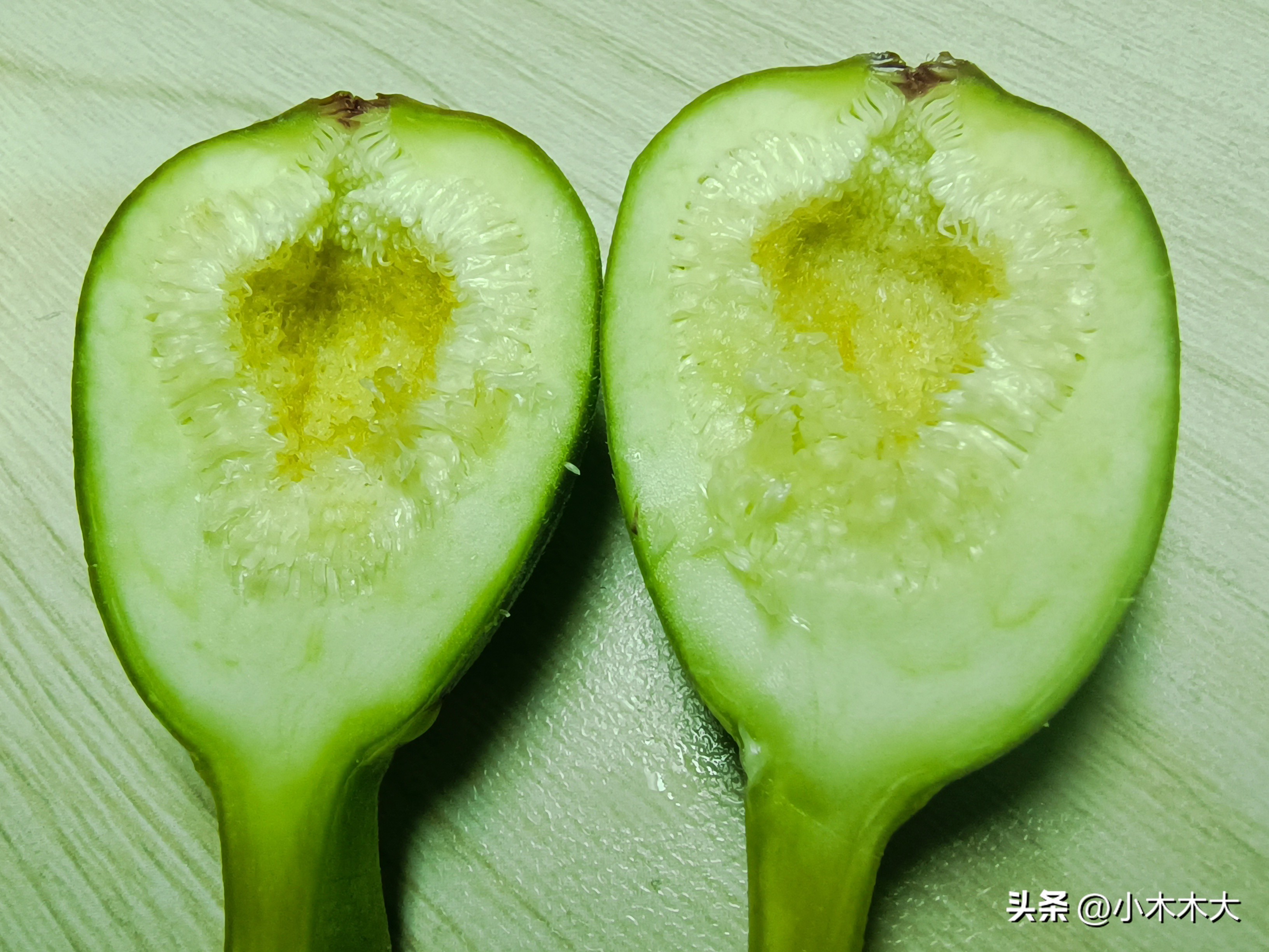 走进果实的世界我发现了什么,走进无花果的世界