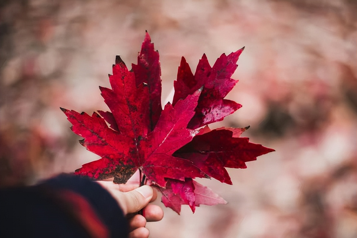 因为性格不合离婚后男人的心理,性格不合离婚了真的复合不了了吗