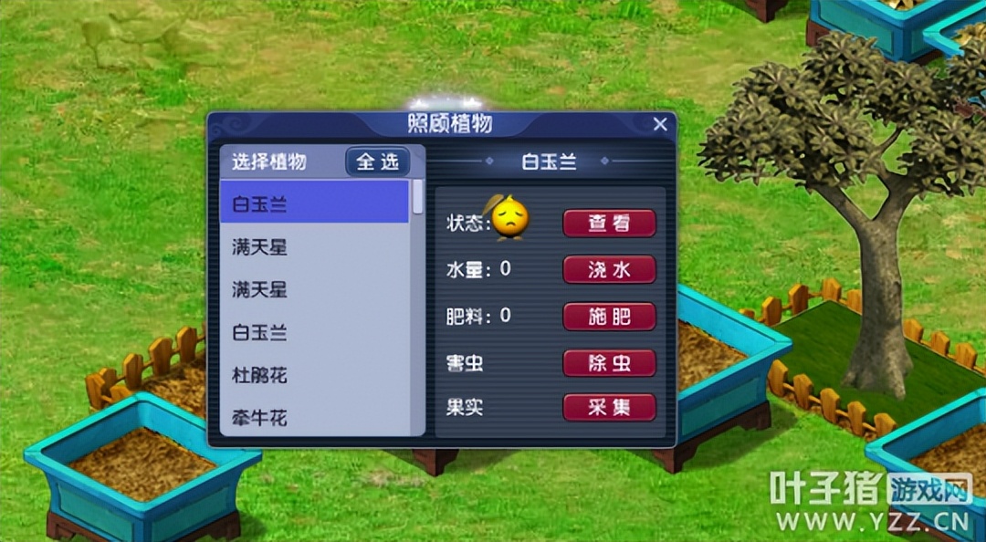 梦幻西游摇钱树老花农怎么做,梦幻西游老花农玩家攻略