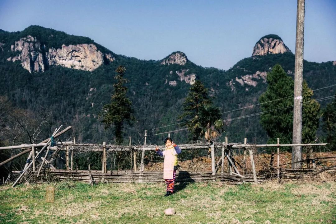 鍏泜绉樺,浠欏眳鍏泜绉樺