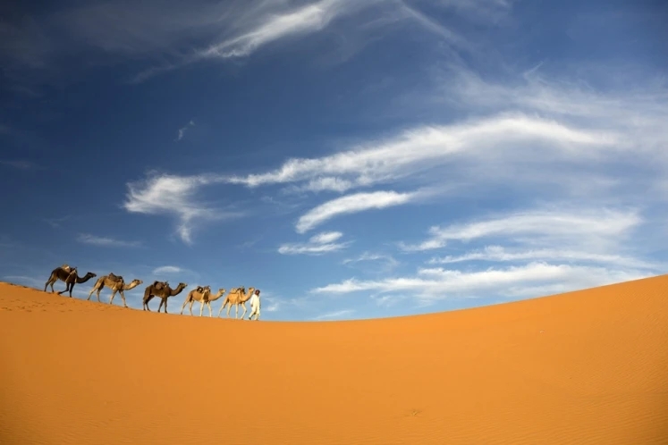 蜜月旅行推荐冬季城市,蜜月旅行推荐国外最浪漫的
