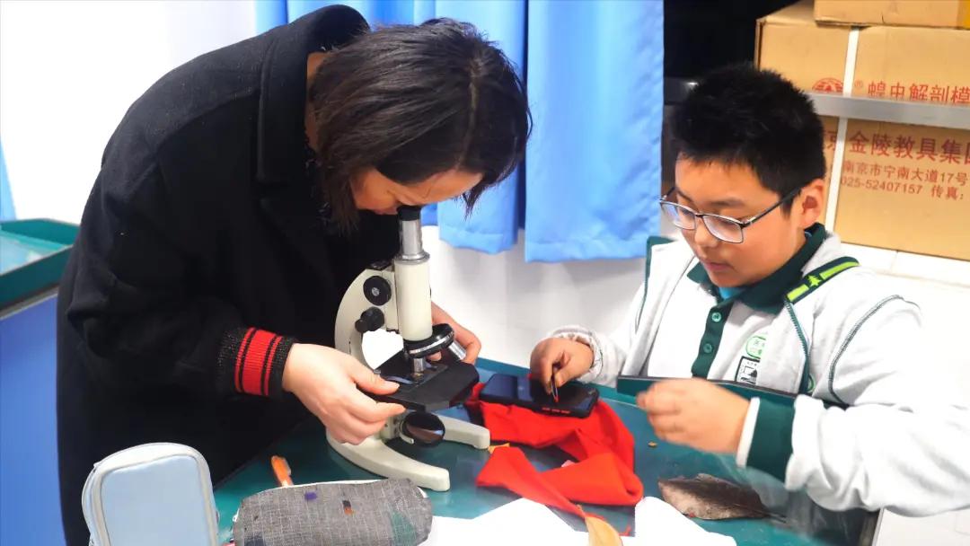 南京师范大学附属中学该怎样学习,南京师范大学附属实验学校小升初