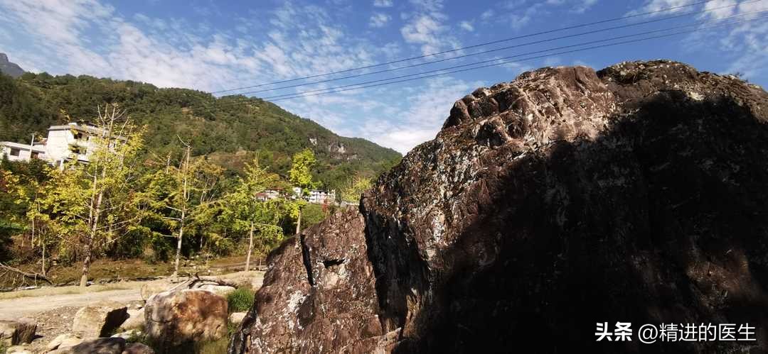 血型实验报告结果分析,血型实验视频