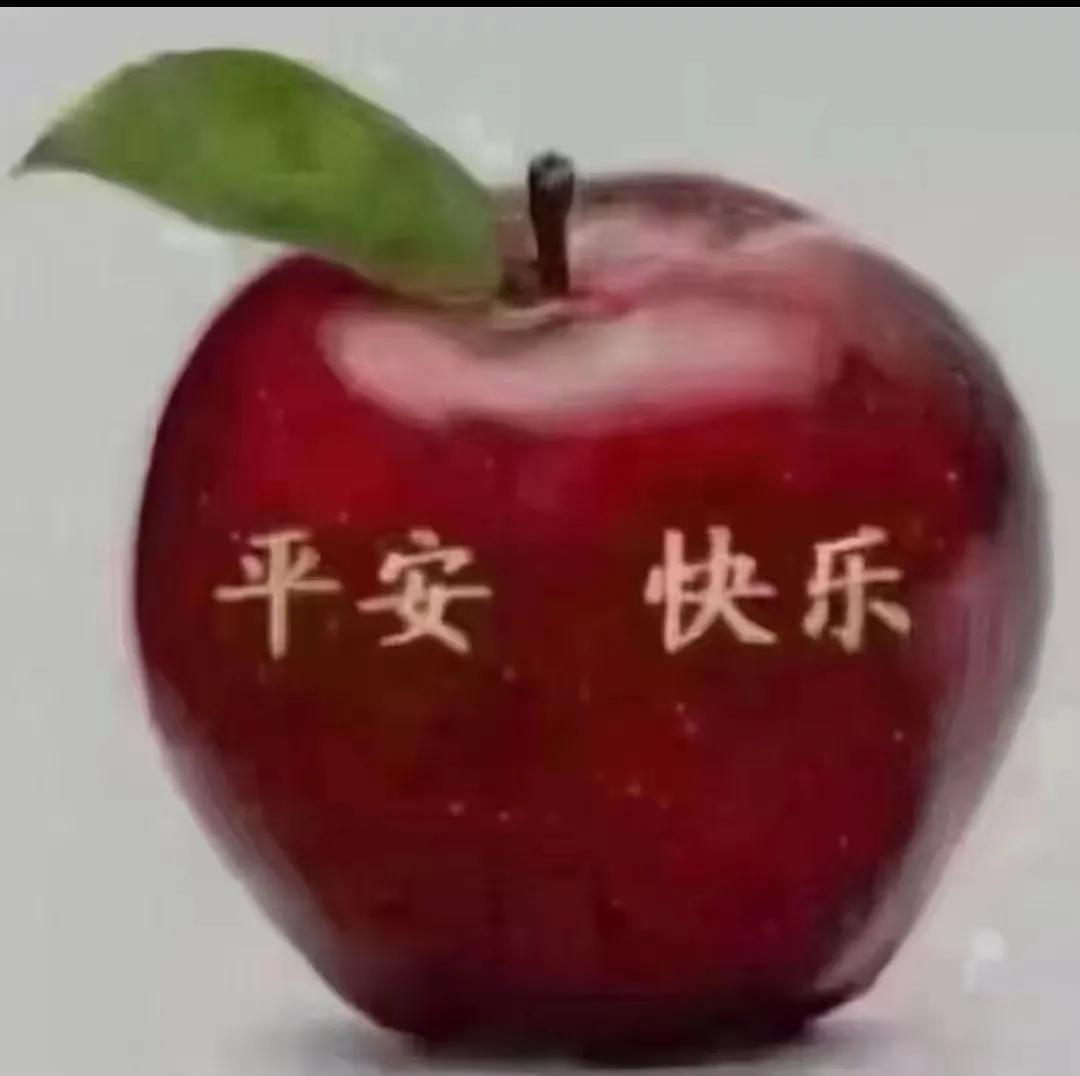 天之骄女,天之骄女小说全文阅读