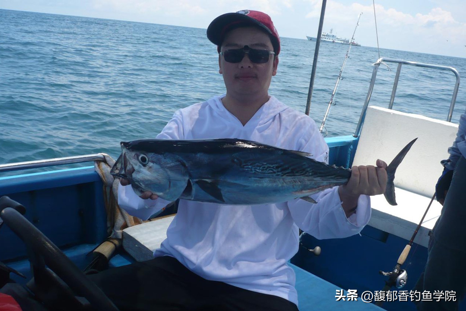 海鱼的习性及钓法,各种海鱼生活习性与水层