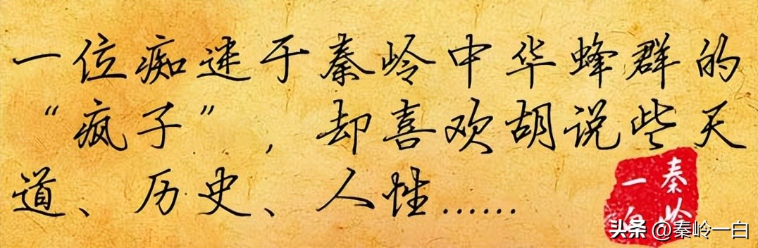 初唐四杰卢照邻的诗,初唐四杰卢照邻