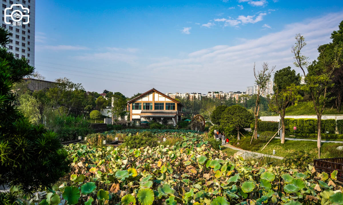 重庆潼南区有哪些好玩的,重庆潼南生态公园