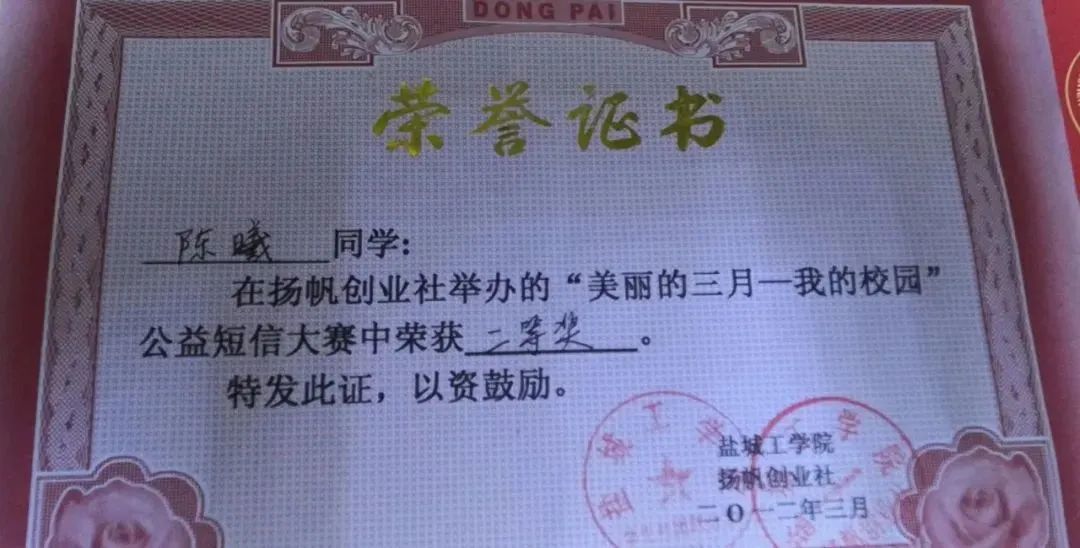 致三十周岁的宝贝儿子李淑华（江苏）《浪子情怀》诗歌集