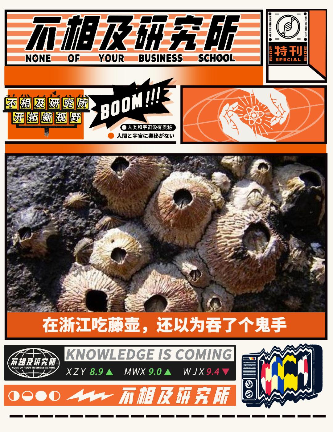 在浙江吃藤壶，还以为吞了个鬼手