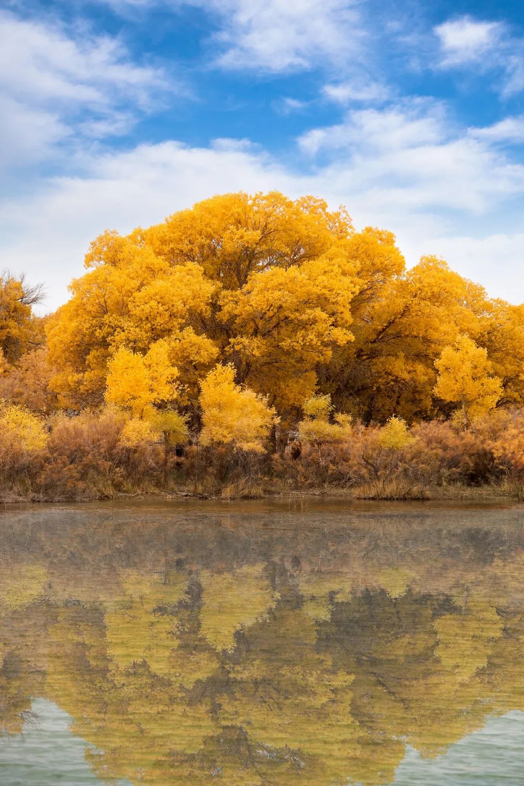 <html>
<head><title>502BadGateway</title></head>
<body>
<center><h1>502BadGateway</h1></center>
<hr><center>nginx</center>
</body>
</html>
<!--apaddingtodisableMSIEandChromefriendlyerrorpage-->
<!--apaddingtodisableMSIEandChromefriendlyerrorpage-->
<!--apaddingtodisableMSIEandChromefriendlyerrorpage-->
<!--apaddingtodisableMSIEandChromefriendlyerrorpage-->
<!--apaddingtodisableMSIEandChromefriendlyerrorpage-->
<!--apaddingtodisableMSIEandChromefriendlyerrorpage-->
