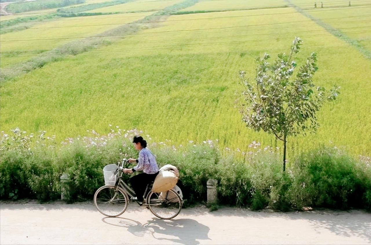 鑸瑰埌鏈濋矞鍗歌揣,鑸瑰埌鏈濋矞