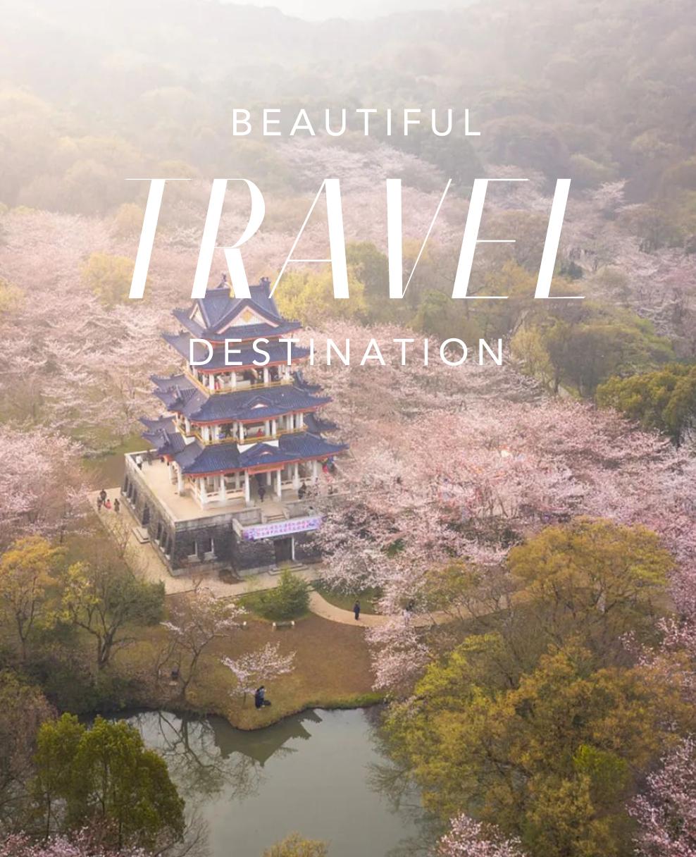 梦华录破亿预告片,刘亦菲梦华录在哪里