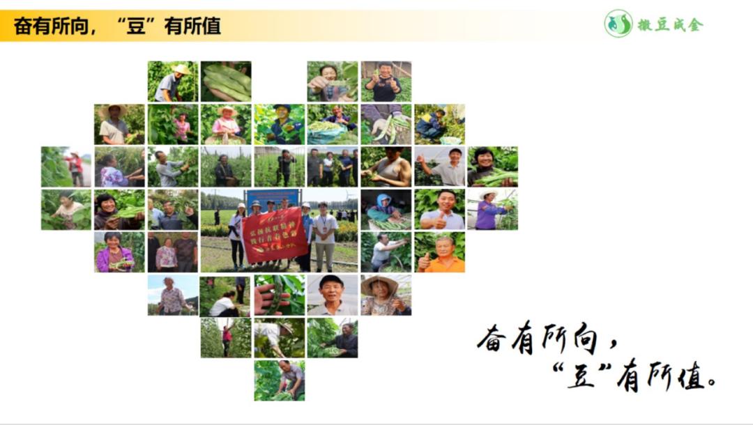 快围观！黑龙江大学“互联网+”大赛国赛获奖项目在这里！