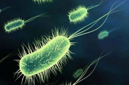 关于处女膜，是时候该“捅破”真相了！