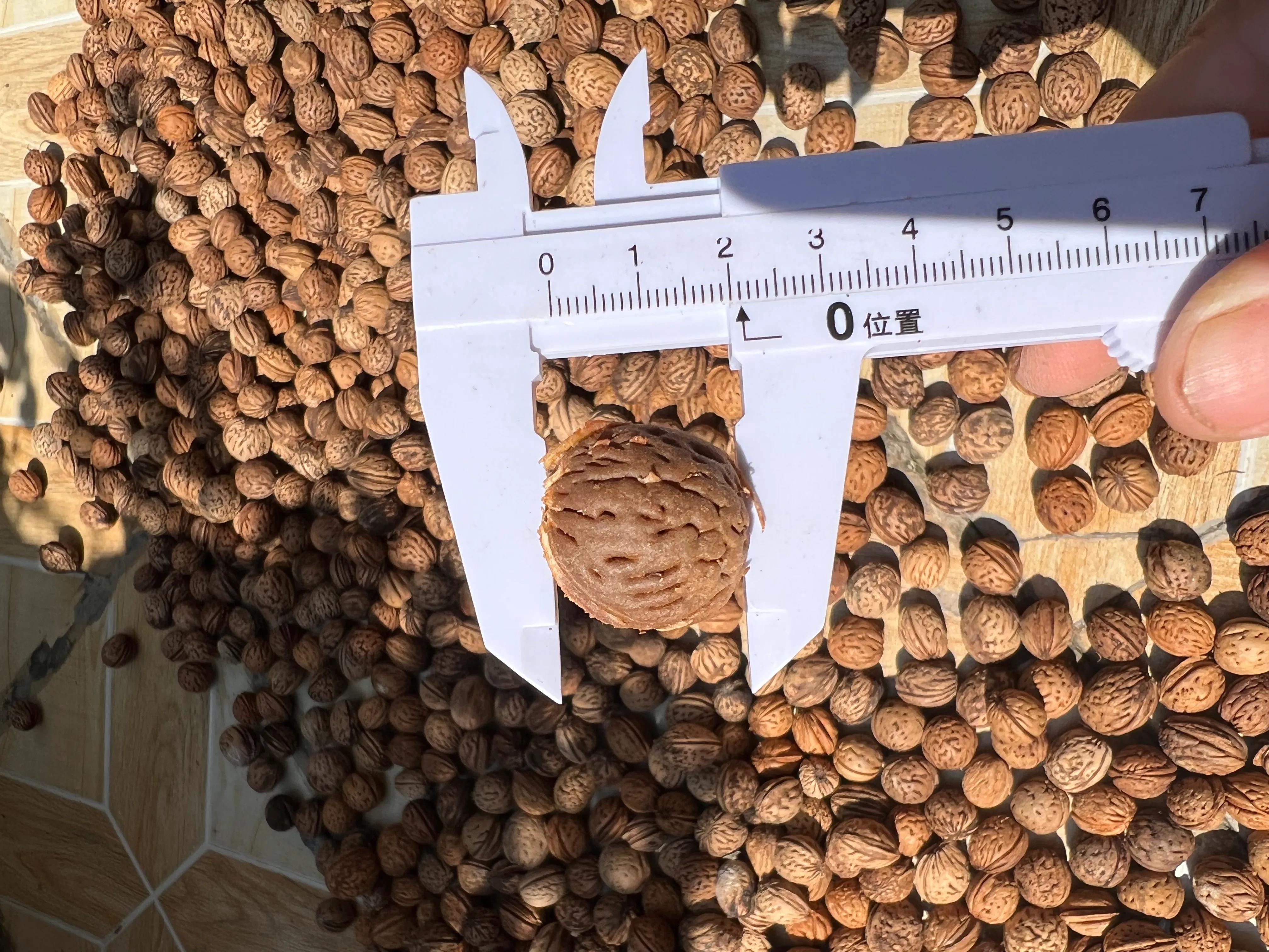 桃核手串保健,桃核手串原料