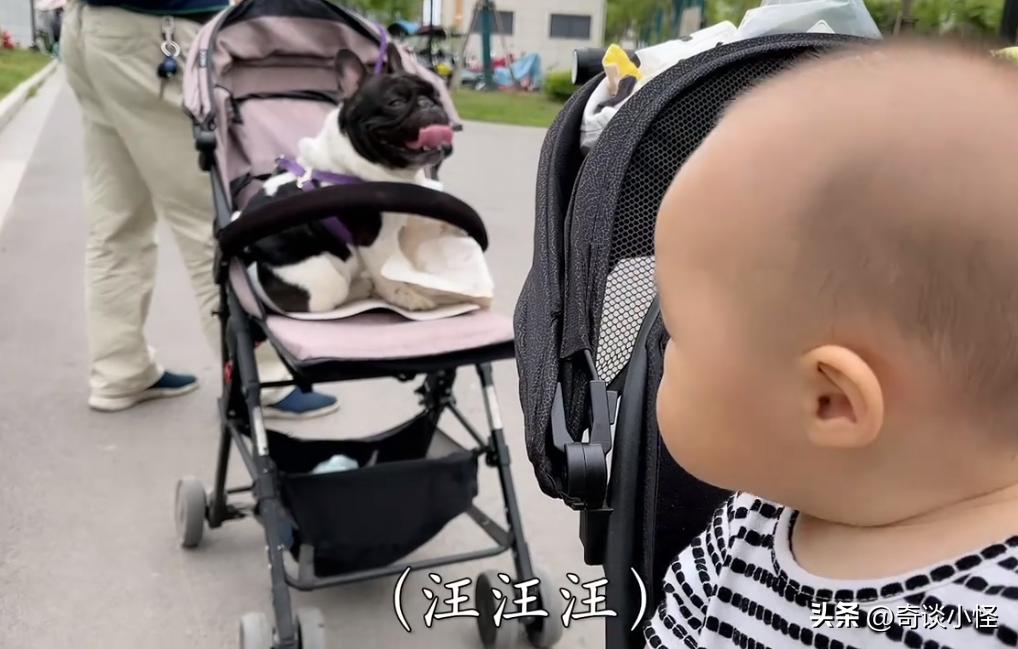 宠物婴儿车,宠物出门婴儿车