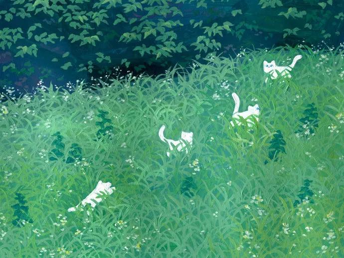 朋友圈背景图片男生简约干净,朋友圈背景图高级感干净